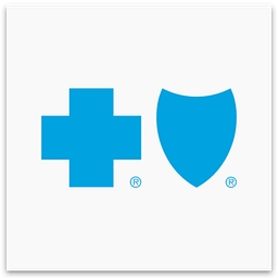 Blue Cross Blue Shield