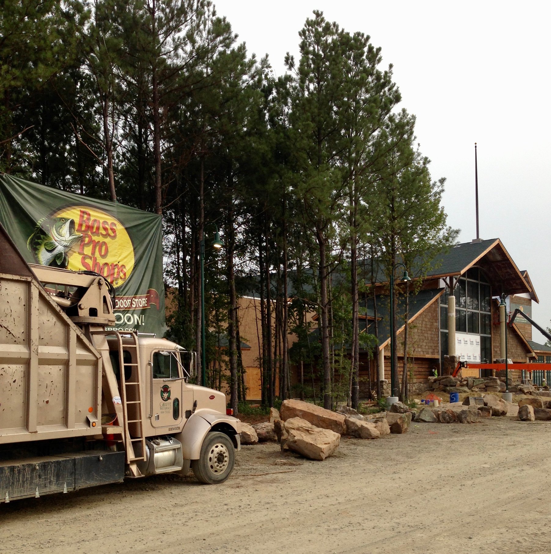 Giraffe Tree Services gallery 6