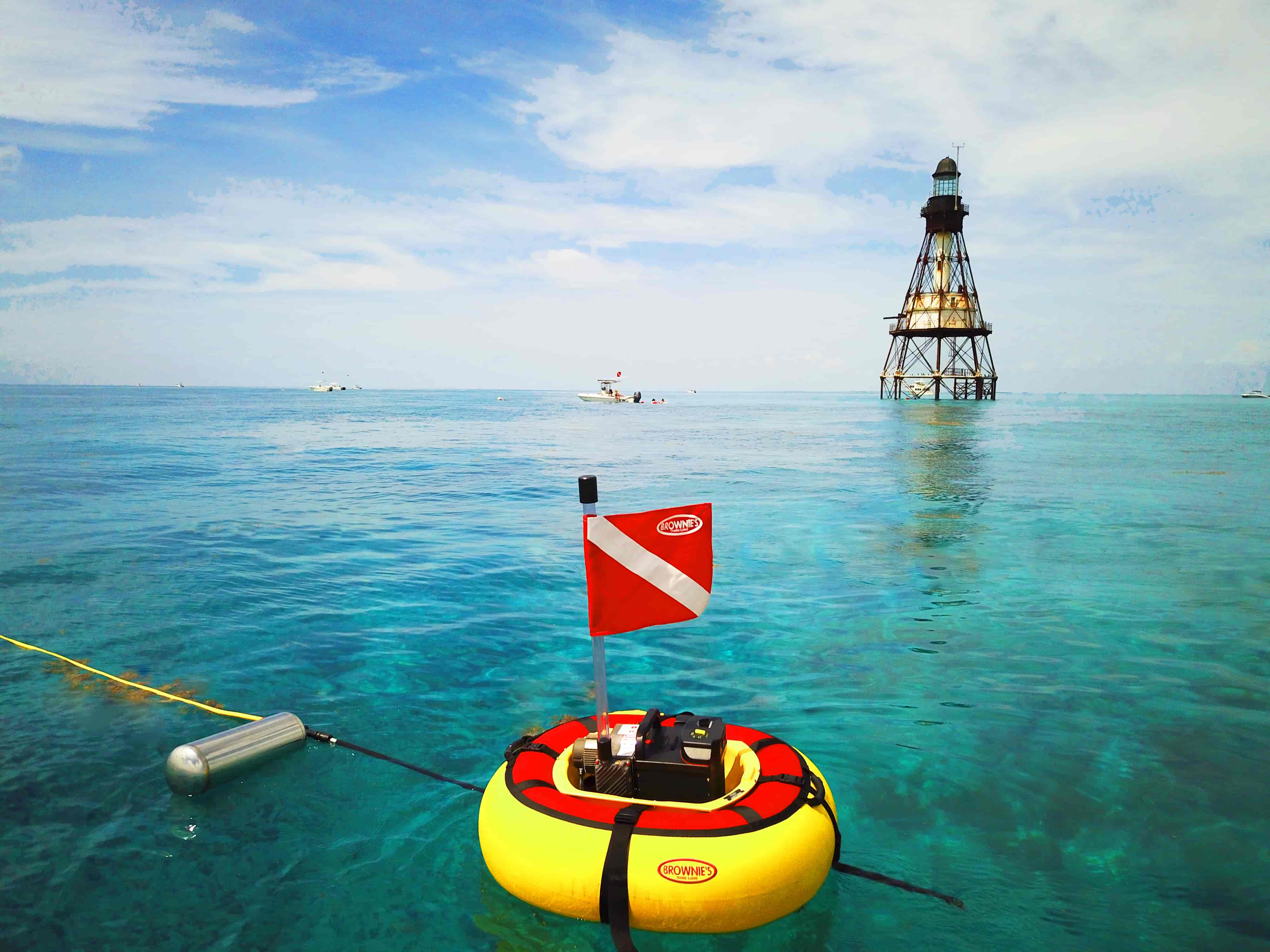 Sea Lion floating with lighthouse in the background