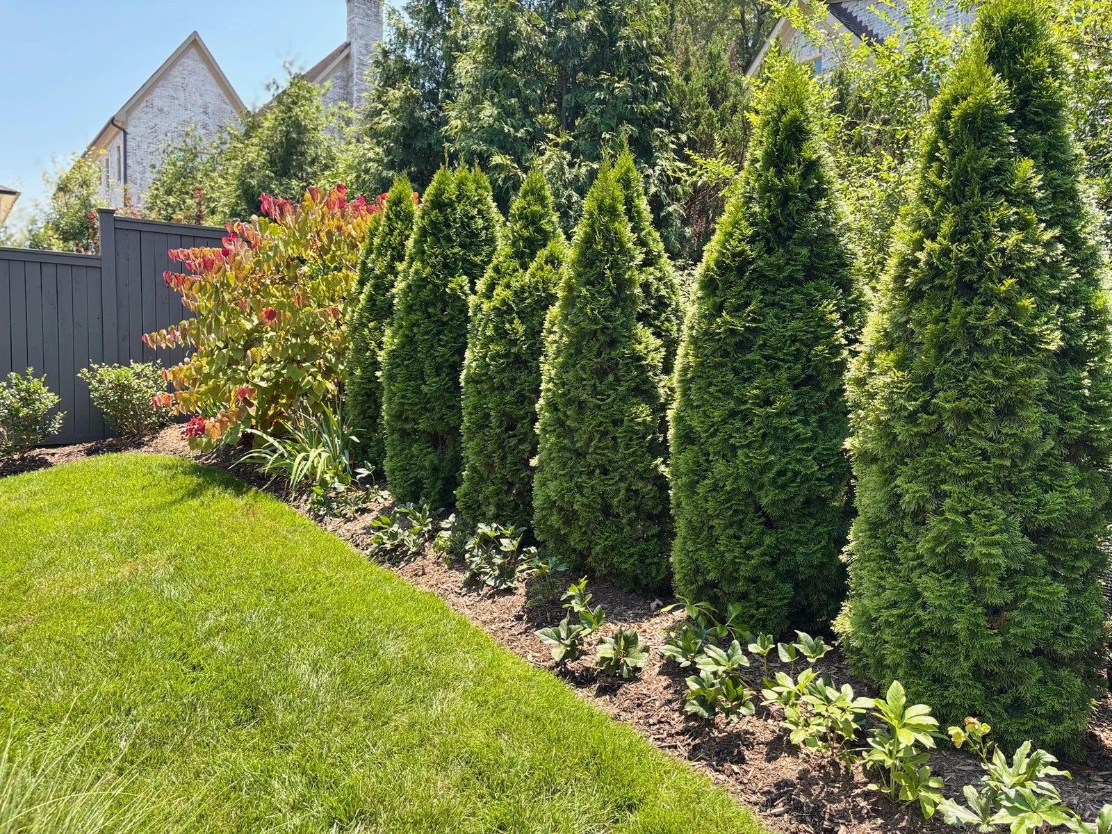 Seasons Fine Gardening – perennial garden