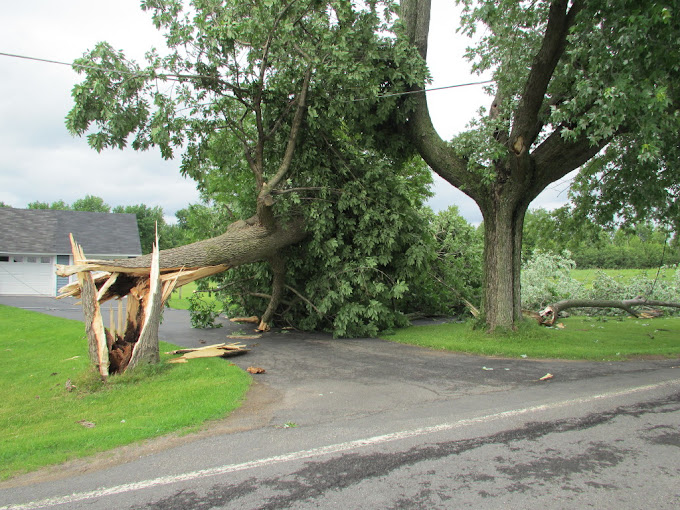 Storm damage tree cleanup in Wake County and Johnston County NC