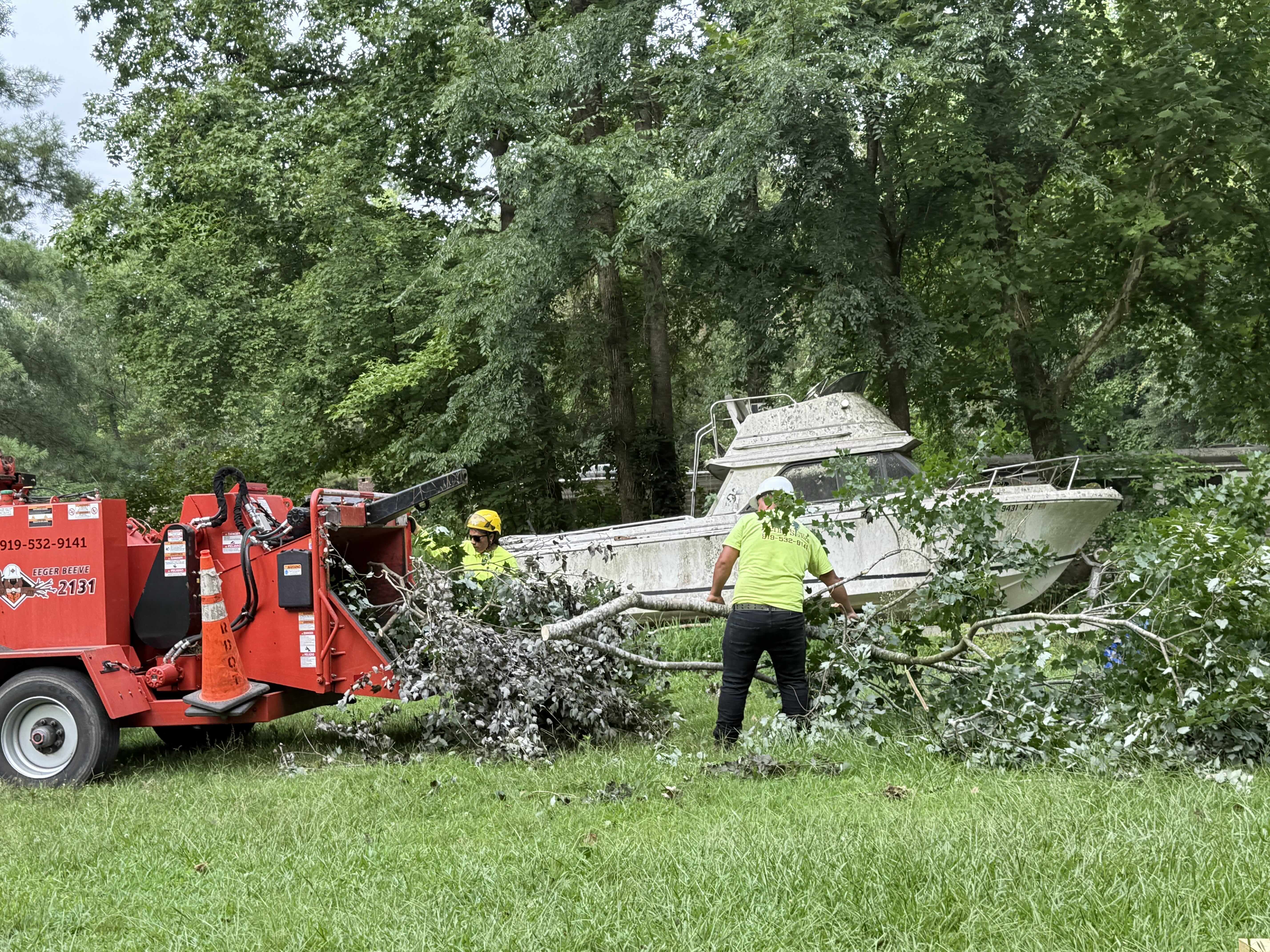 Tree chipper processing a large tree — professional tree removal in Zebulon NC