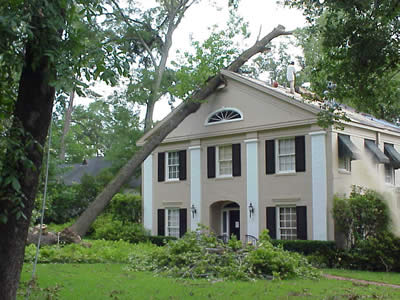 Emergency tree removal available 24/7 in Zebulon and Wake County