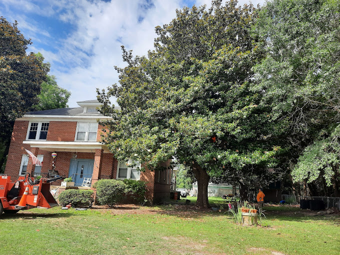 Tree removal service in Rocky Mount, NC