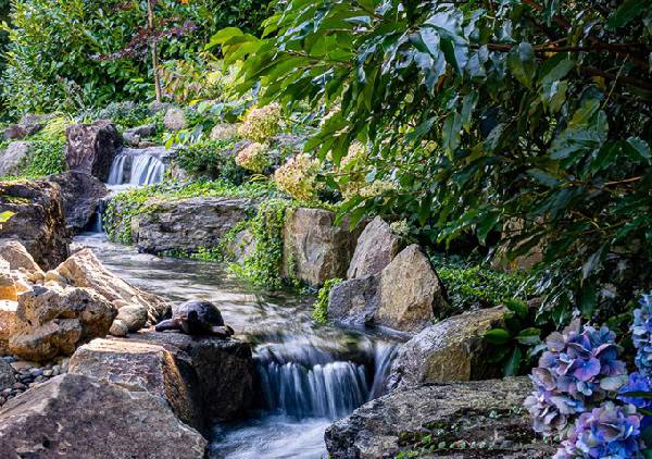 Serene pool and waterfall setting near palm trees