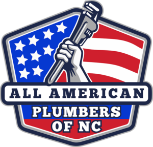 Emergency Plumber Now logo