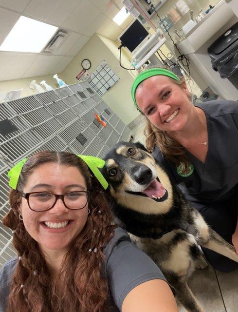 Happy clients and their dog at Pine Animal Hospital