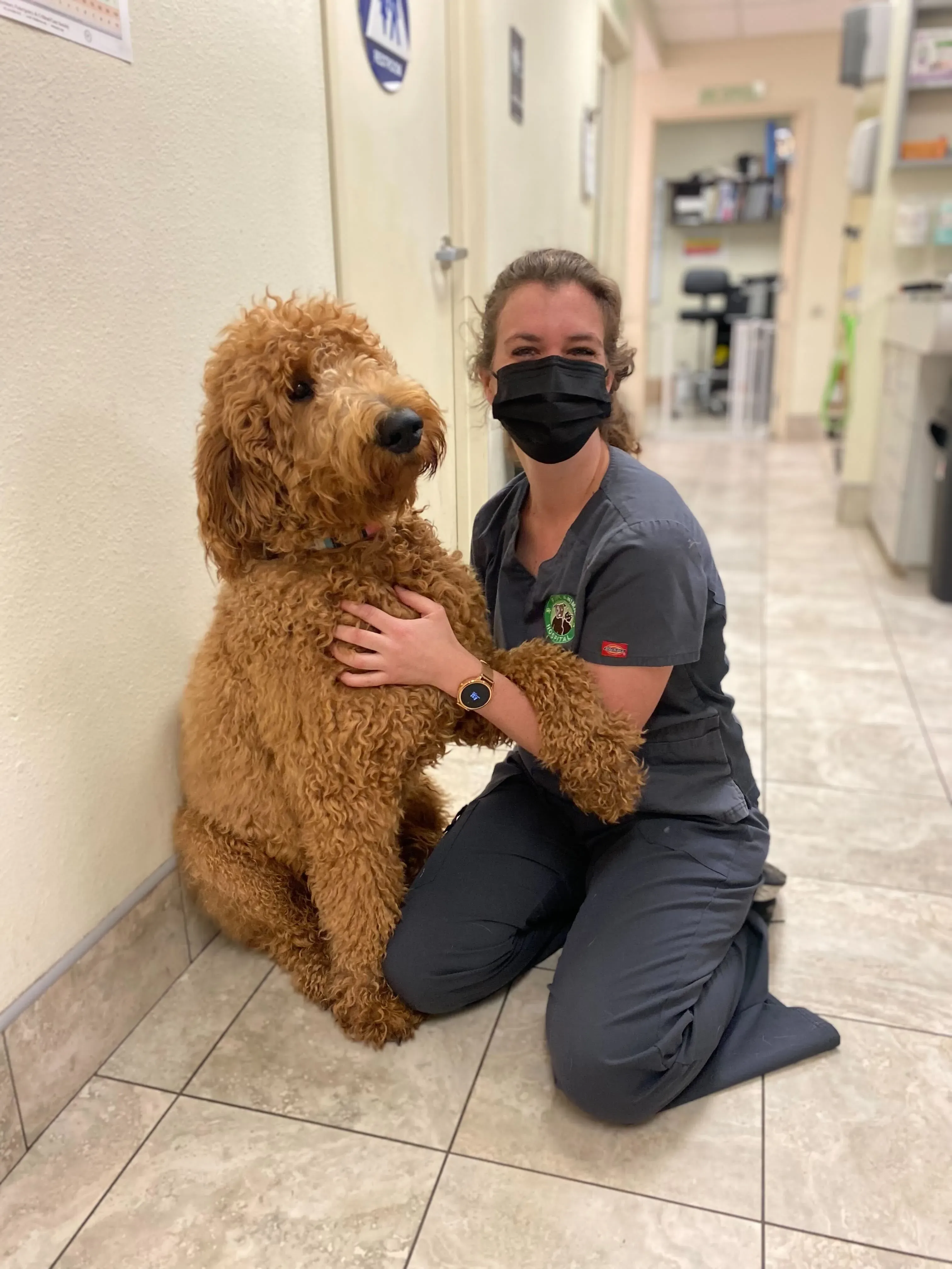 Veterinarian in scrubs kneeling beside a large, fluffy dog in a clinic.