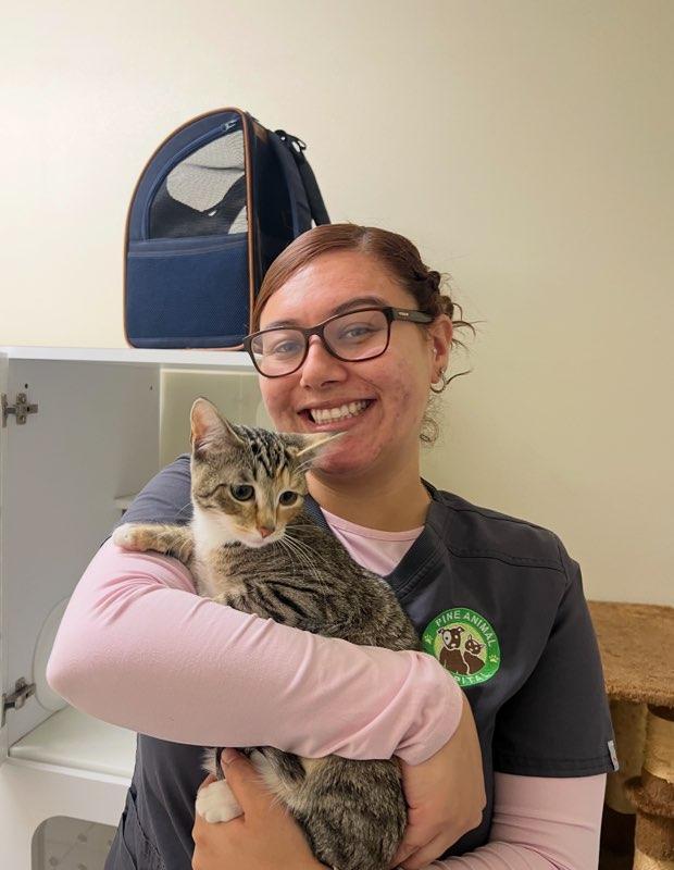 Smiling veterinary professional holding a tabby kitten at Pine Animal Hospital.