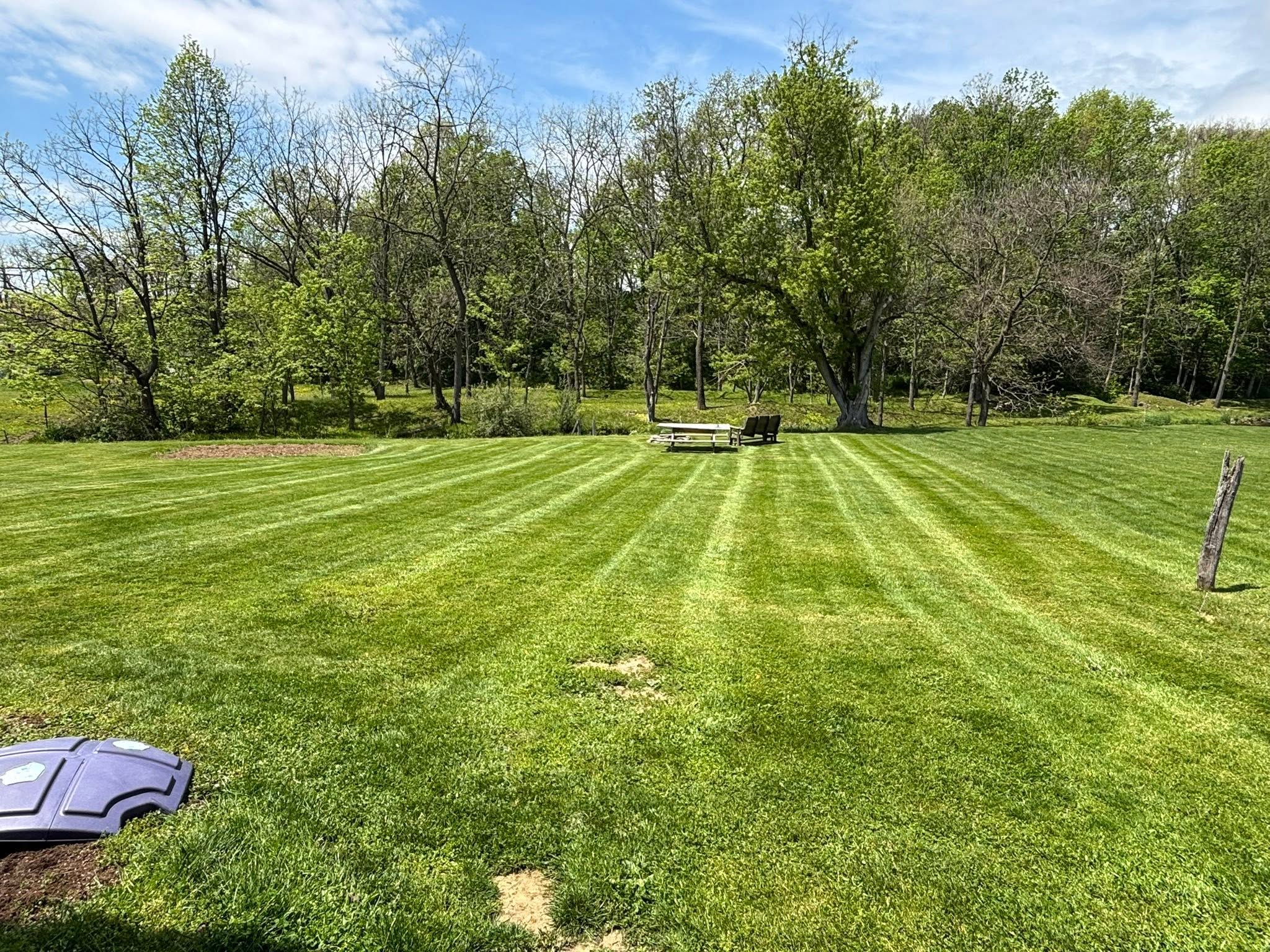 Man mowing a residential lawn with a walk-behind mower